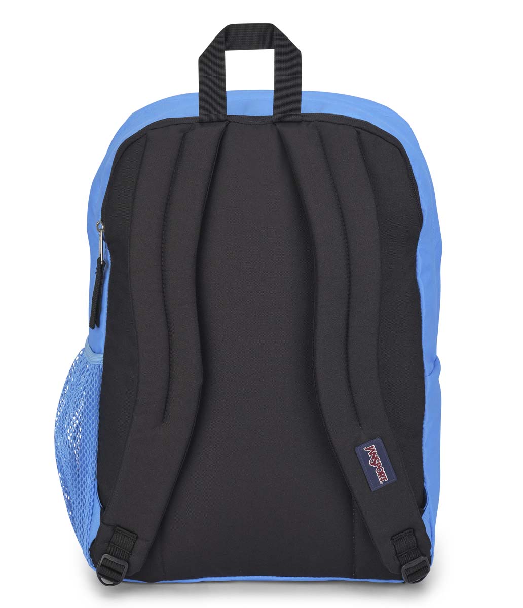 BIG STUDENT - Blue Neon