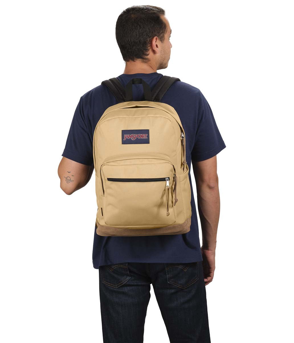 RIGHT PACK - Curry